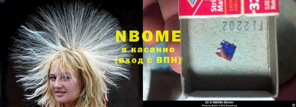 PSILOCYBIN Козловка
