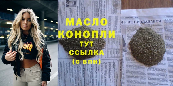 шишки Кодинск