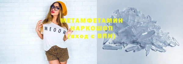 шишки Кодинск