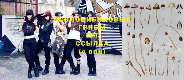 шишки Кодинск