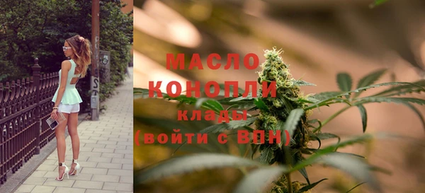 индика Киренск