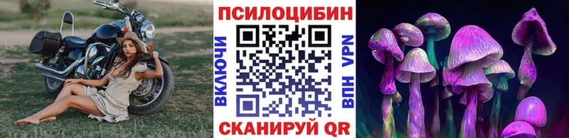 Псилоцибиновые грибы ЛСД Кораблино