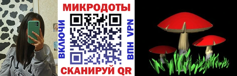 Галлюциногенные грибы MAGIC MUSHROOMS  сколько стоит  Кораблино 